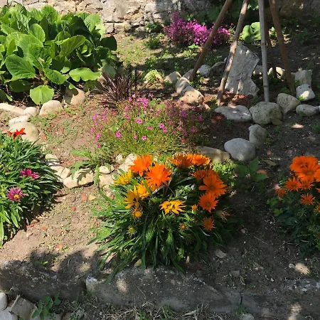 Maison d'hôtes Le Rayon De Soleil *