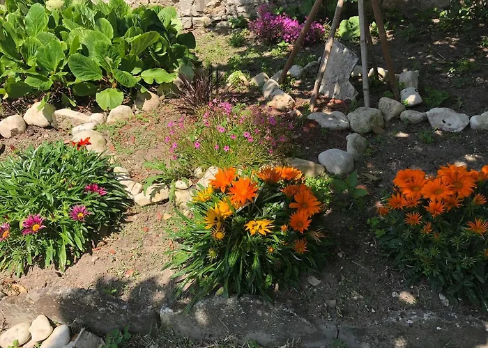 Maison d'hôtes Le Rayon De Soleil 3*